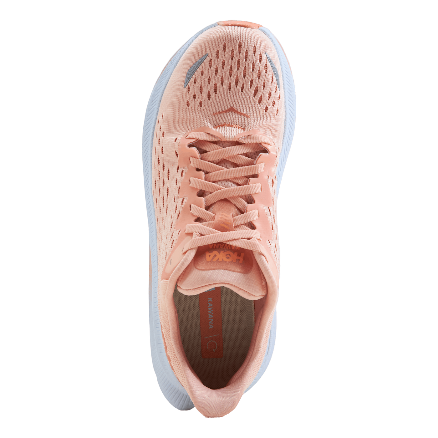W Kawana Peach Parfait / Shell Coral