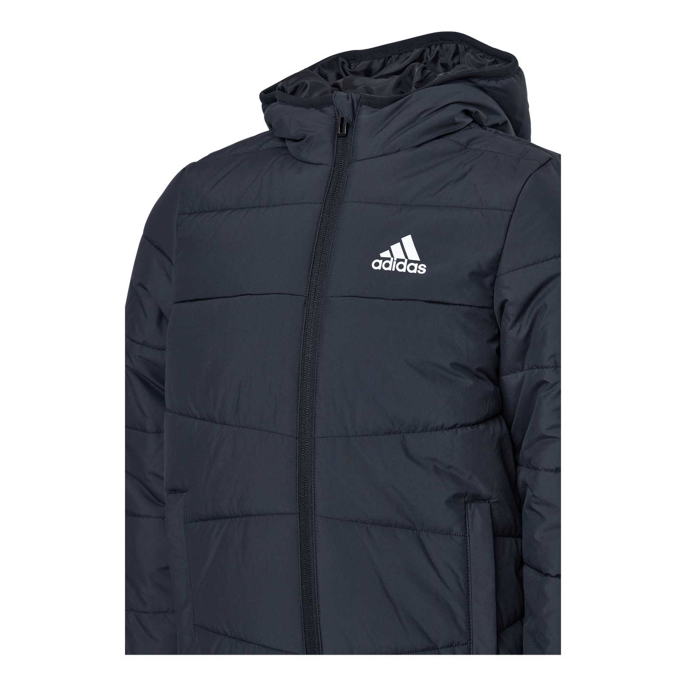 Padded Winter Jacket Black - adidas – Runforest.com