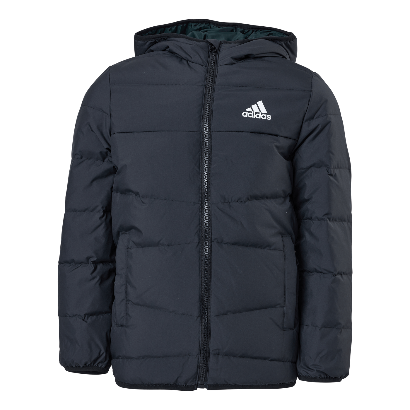 Frosty Winter Jacket Black