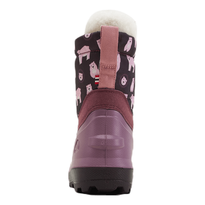 Snowfall Bear Purple
