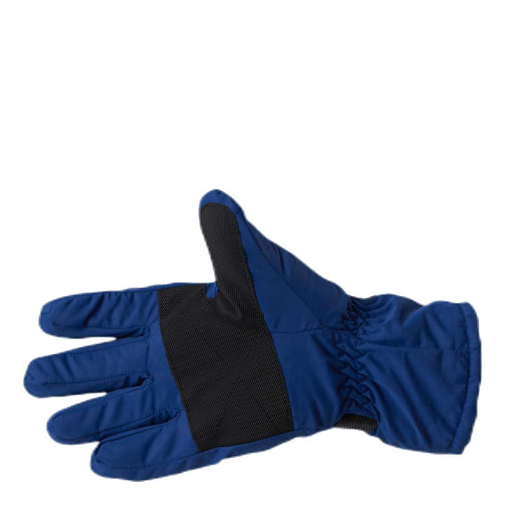 Dundret Gloves Blue