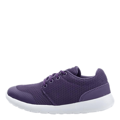 Brooke Purple