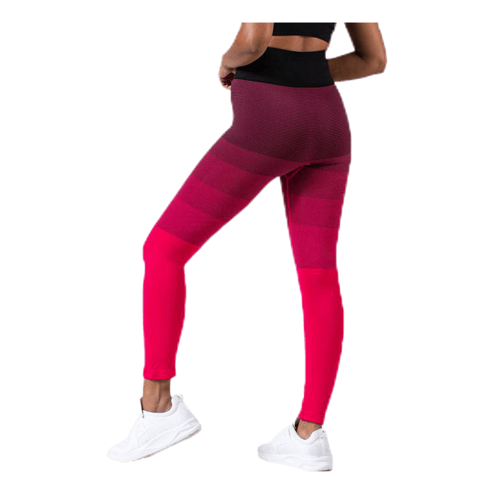 Gradient Seamless Tights Pink