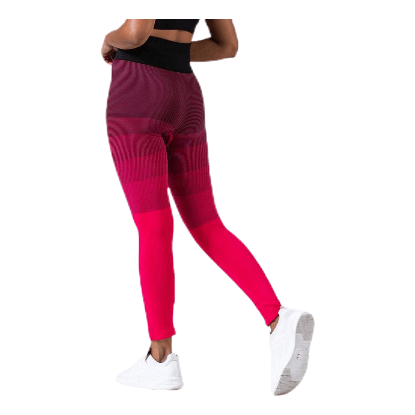 Gradient Seamless Tights Pink