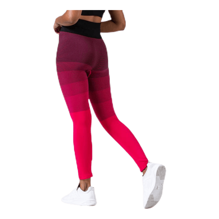 Gradient Seamless Tights Pink