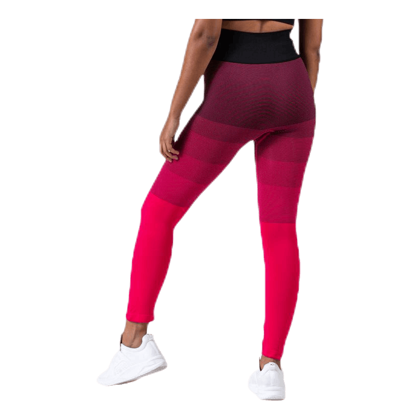 Gradient Seamless Tights Pink