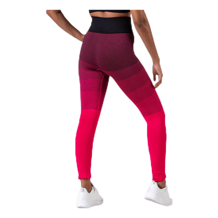 Gradient Seamless Tights Pink