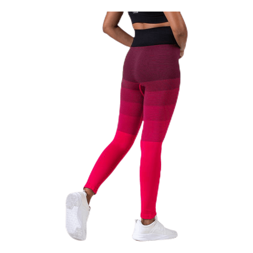 Gradient Seamless Tights Pink