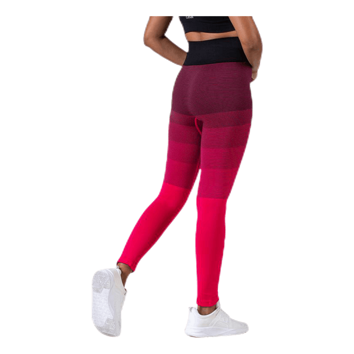 Gradient Seamless Tights Pink