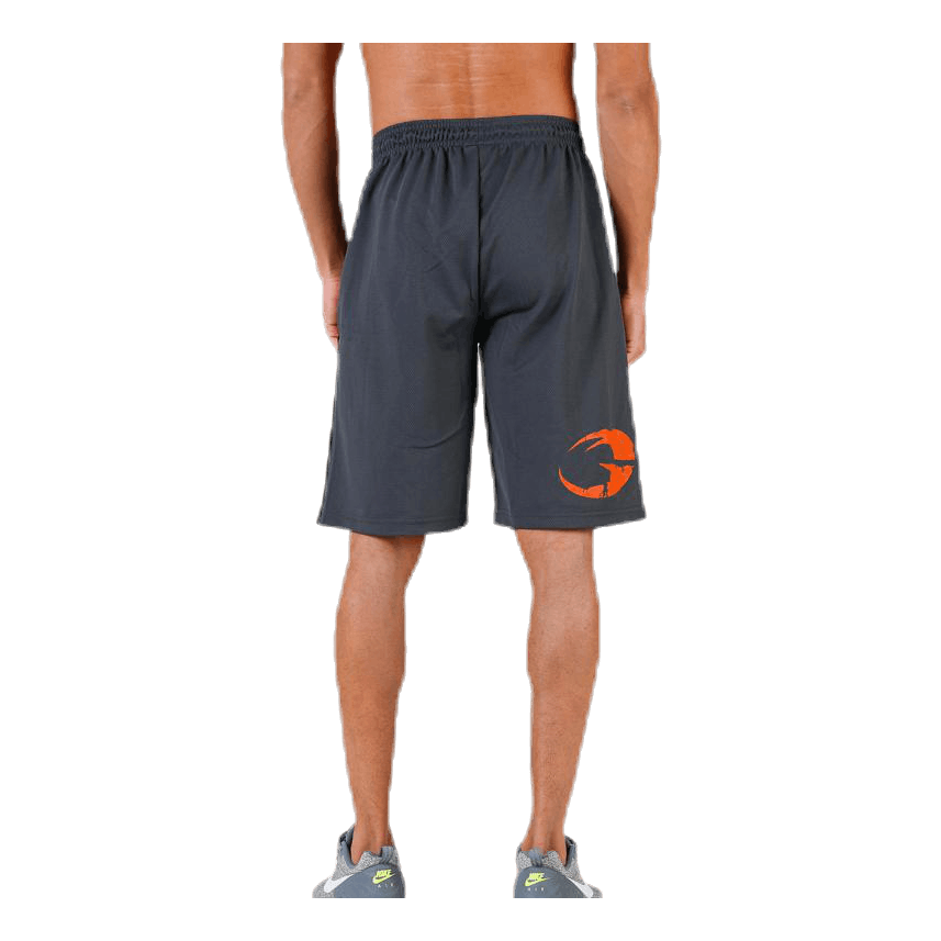 Pro mesh shorts Grey