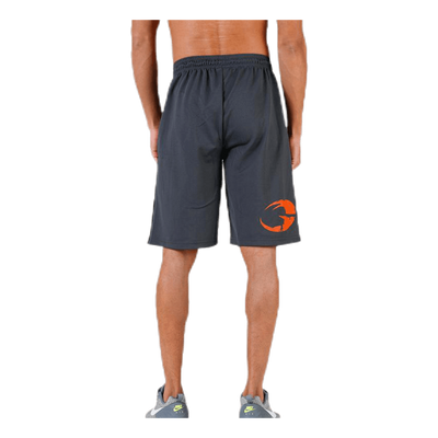 Pro mesh shorts Grey