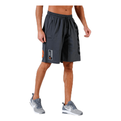 Pro mesh shorts Grey