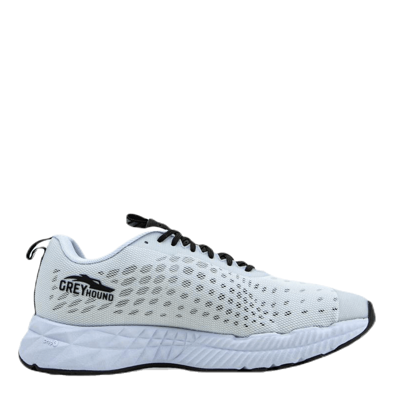 Greyhound White/Black