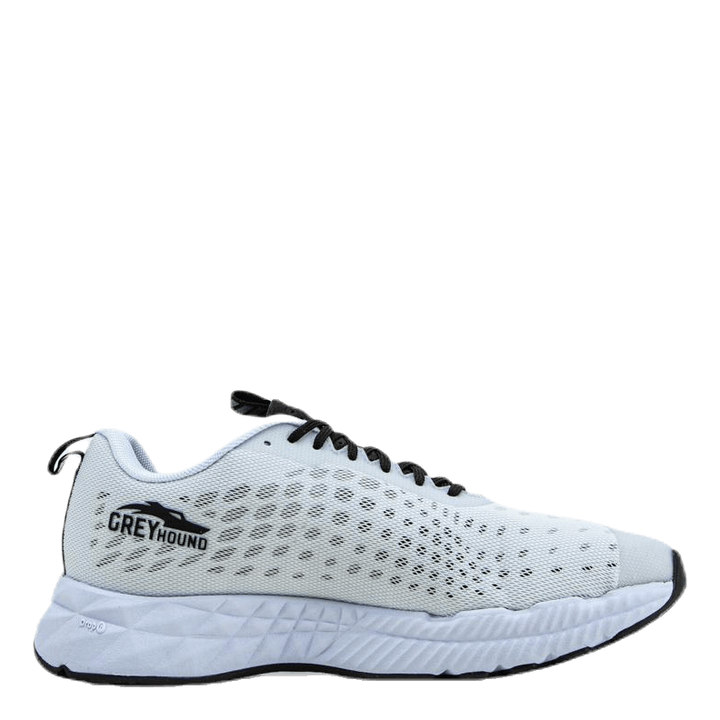 Greyhound White/Black