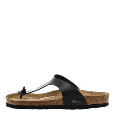 Birkir Black