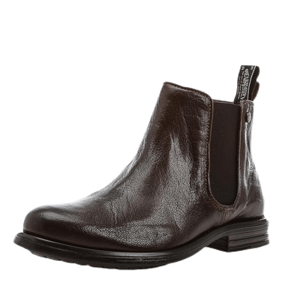 Halligan W Brown