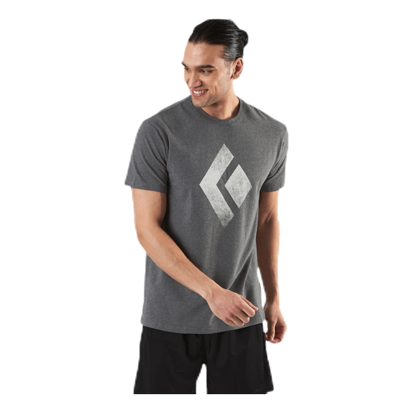 SS Chalked Up Tee Grey