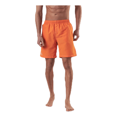 Zolg  Orange