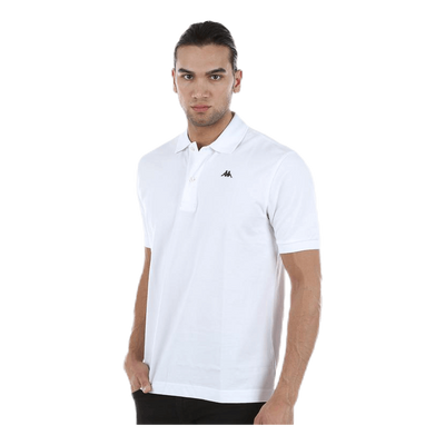 Aarau White