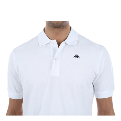 Aarau White