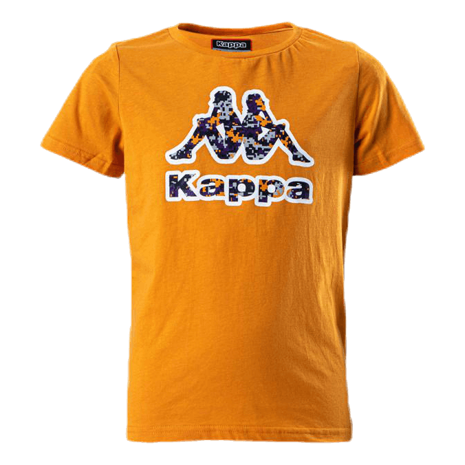 Logo Berk Orange