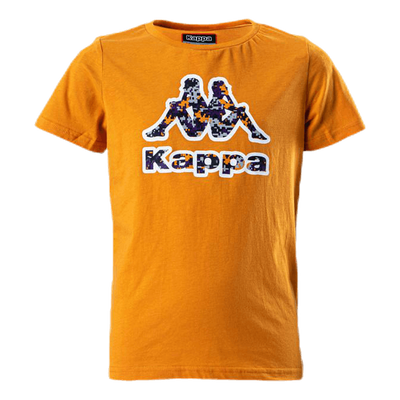 Logo Berk Orange