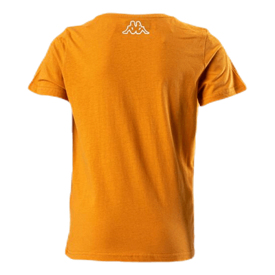 Logo Berk Orange
