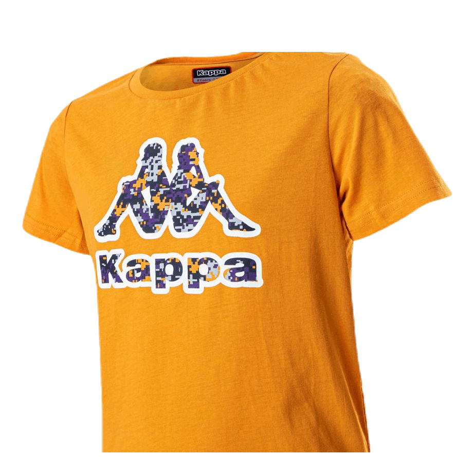 Logo Berk Orange