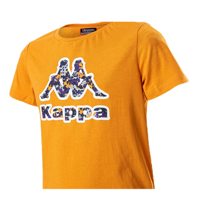 Logo Berk Orange