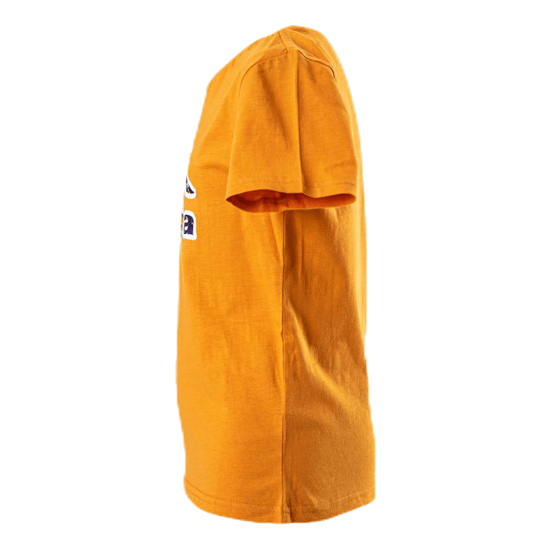 Logo Berk Orange