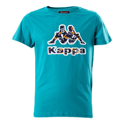 Logo Berk Turquoise