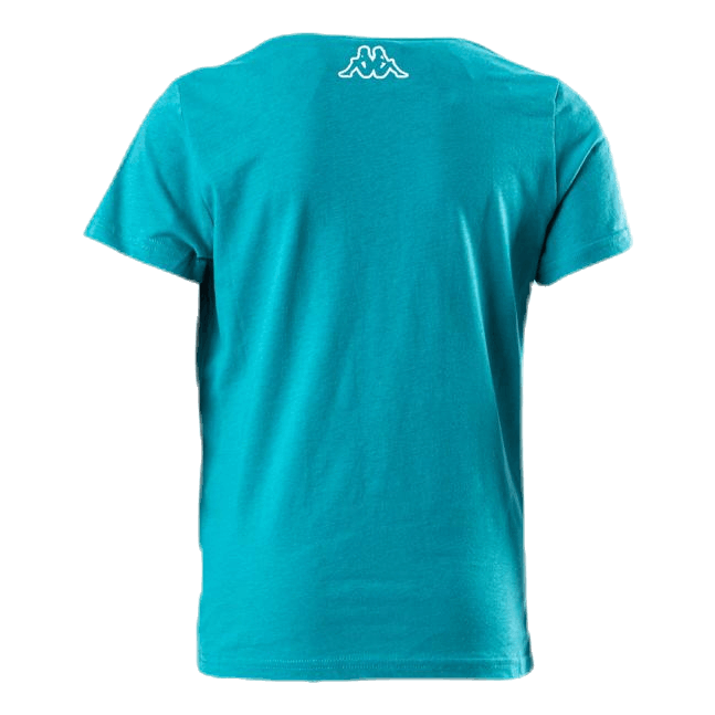 Logo Berk Turquoise