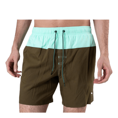 Logo Medium Length Swim Shorts Brown/Green