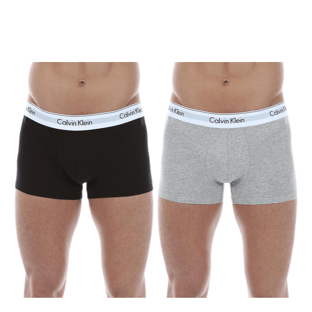 Trunk 2-Pack Grey