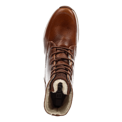 Luca High Tmb W Brown