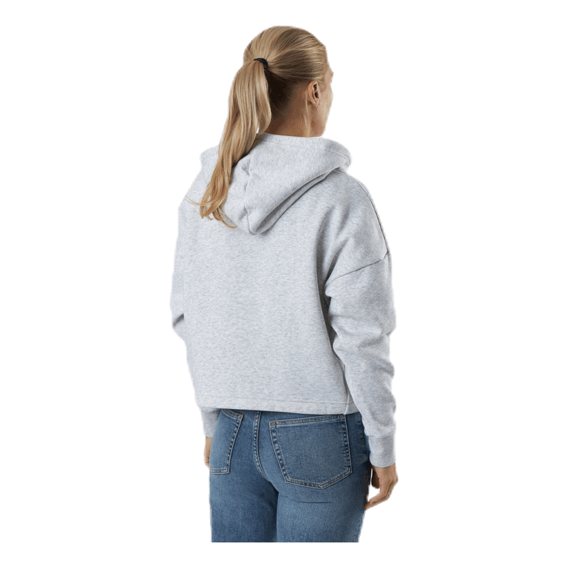 Cropped Hoody Flag Logo Grey