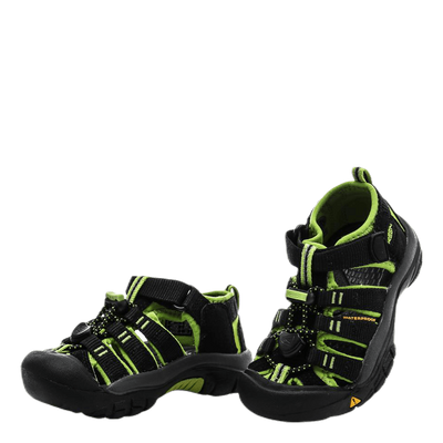Newport H2 Kid Black