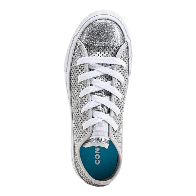 Chuck Taylor All Star Mesh Silver