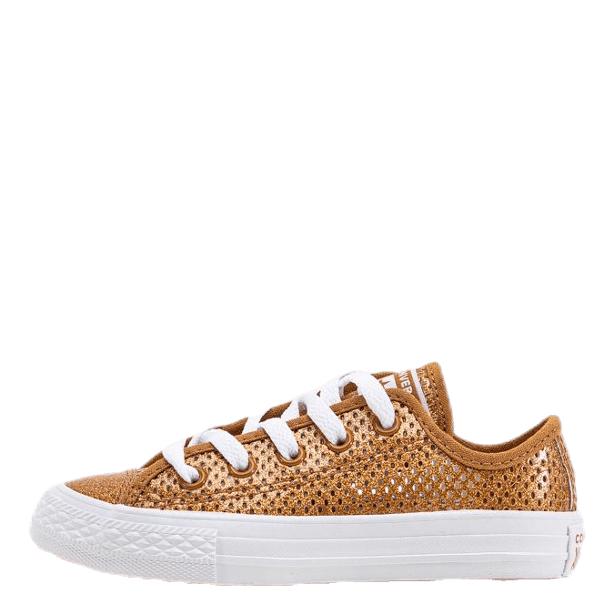 Chuck Taylor All Star Mesh Brown