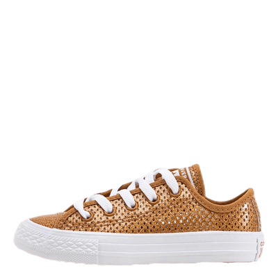 Chuck Taylor All Star Mesh Brown