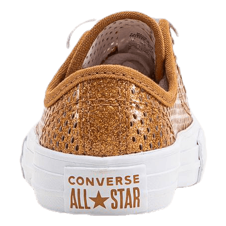 Chuck Taylor All Star Mesh Brown