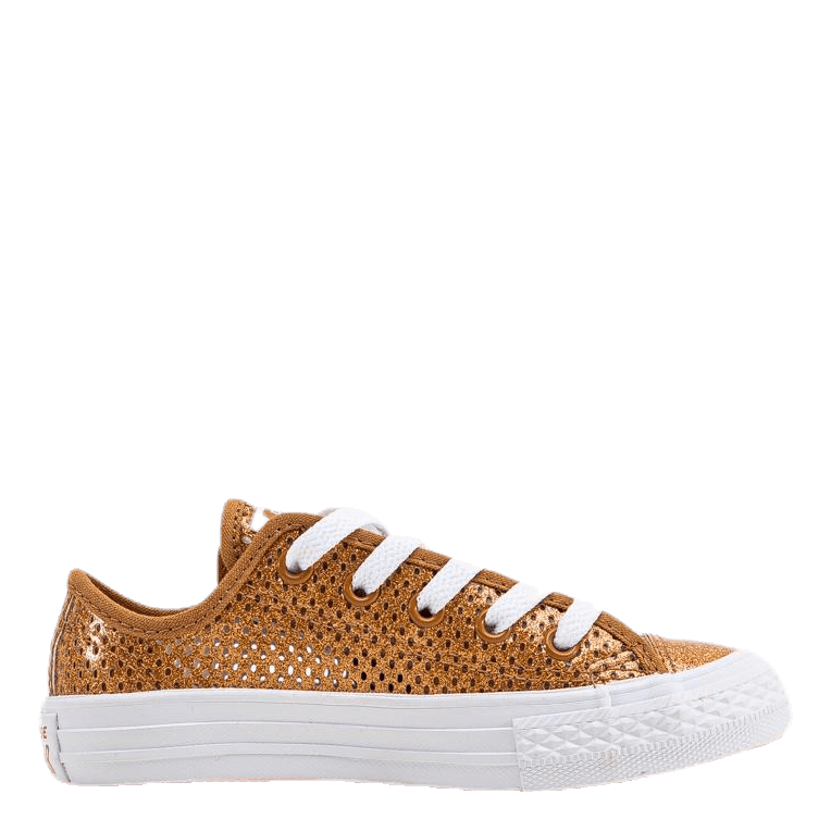Chuck Taylor All Star Mesh Brown