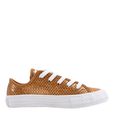 Chuck Taylor All Star Mesh Brown
