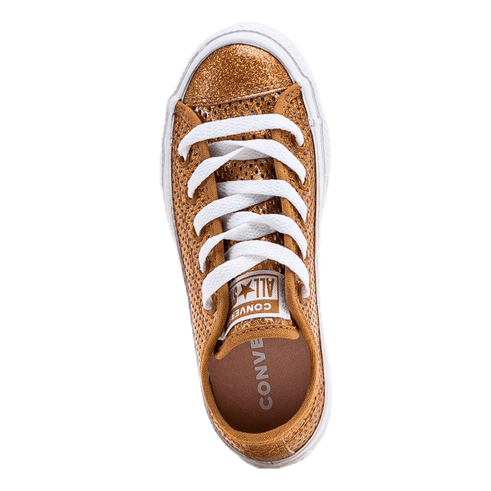 Chuck Taylor All Star Mesh Brown