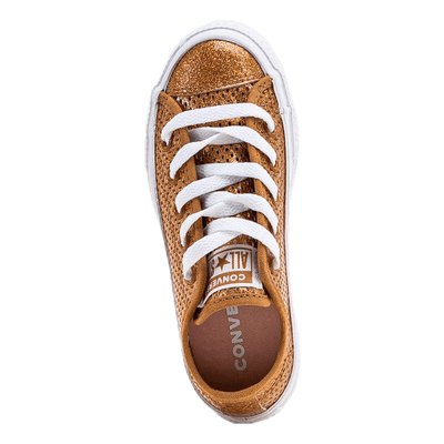 Chuck Taylor All Star Mesh Brown