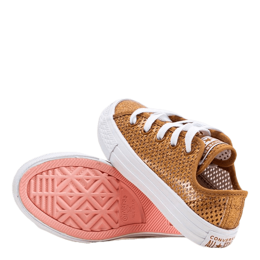 Chuck Taylor All Star Mesh Brown