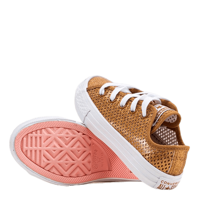 Chuck Taylor All Star Mesh Brown