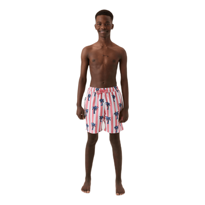 Jr Loose Kenny Swimshorts Pink/Blue