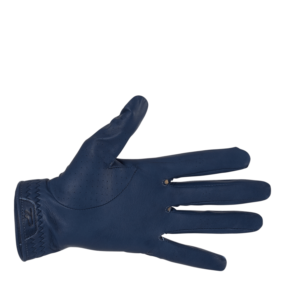TM21 TP Color Glove Left Blue