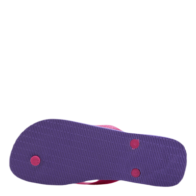 Brasil Fresh Pink/Purple